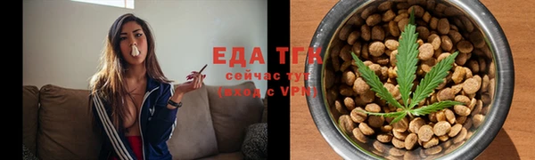 СК Няндома