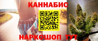 дживик Гатчина