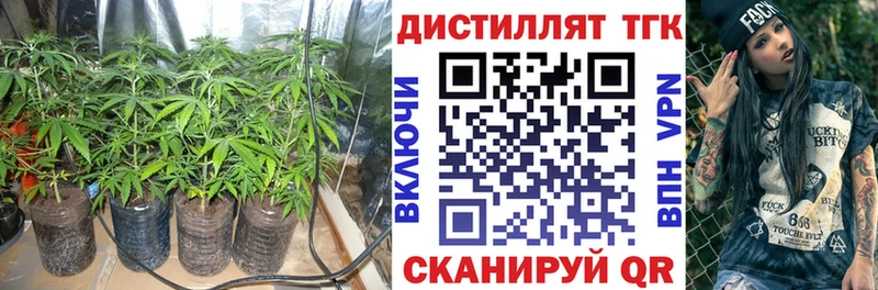 хочу   Клинцы  ТГК Wax 