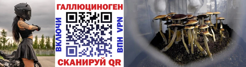 ссылка на мегу маркетплейс  Клинцы  Псилоцибиновые грибы Psilocybine cubensis  купить  сайты 